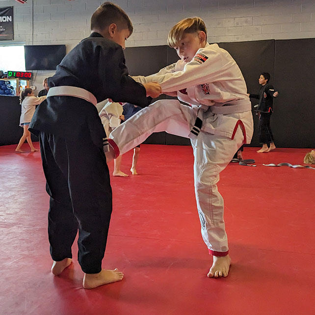 Photo of the kids of Indiana Brazilian Jiu-Jitsu Academy